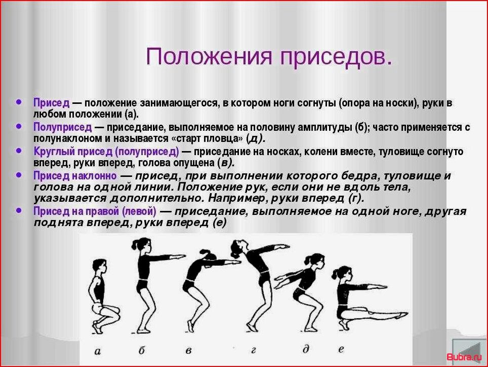 Приседания: польза упражнения, техника и главные разновидности