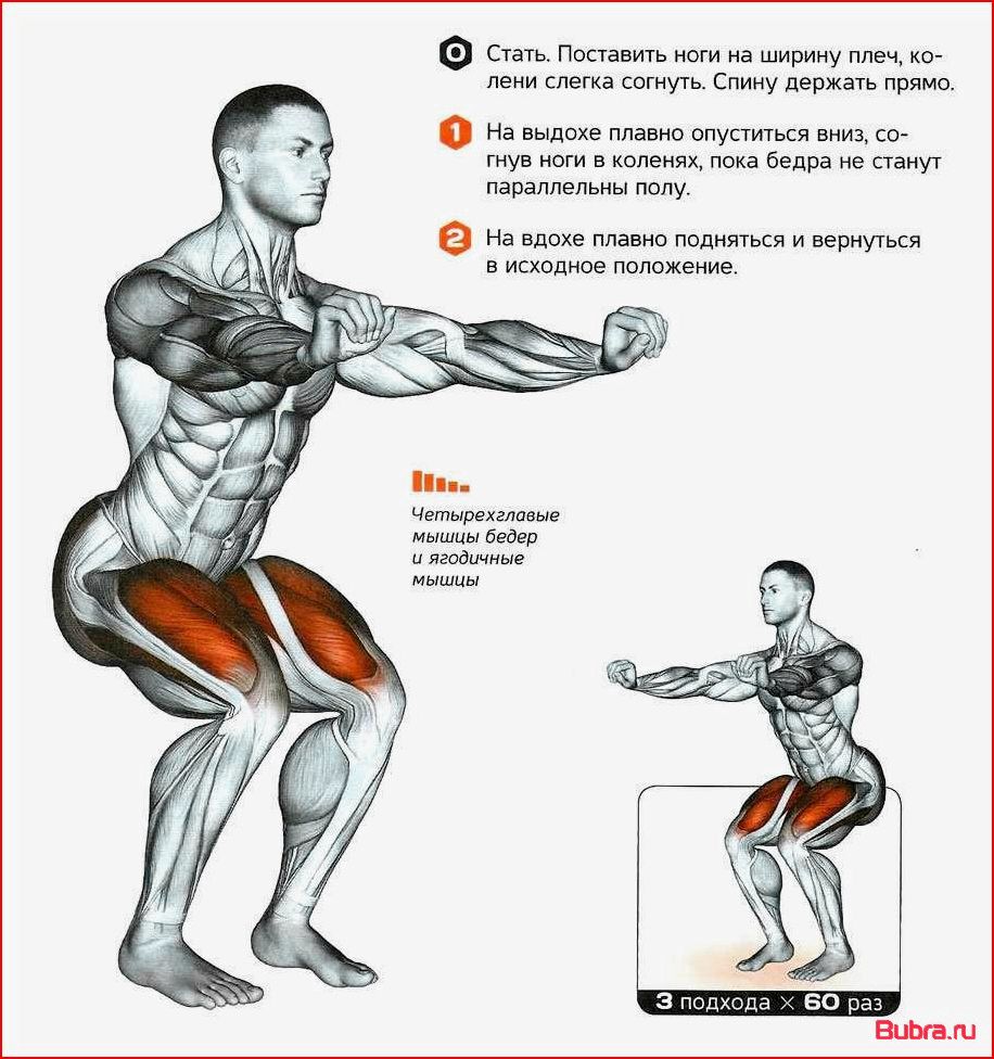 Приседания: польза упражнения, техника и главные разновидности