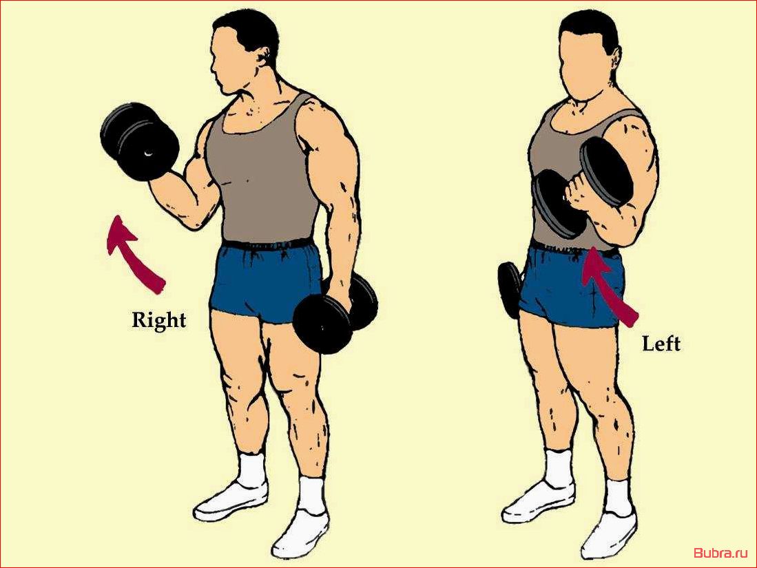 Подъем гантелей на бицепс с супинацией