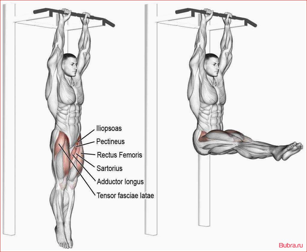 Подъем ног к перекладине