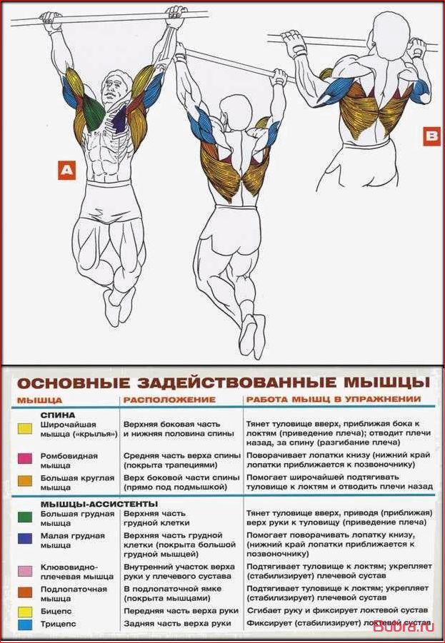 Подтягивания на V-образной рукояти