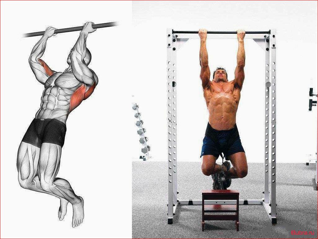 Подтягивания на V-образной рукояти