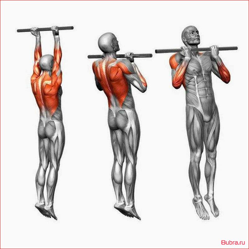 Подтягивания на V-образной рукояти