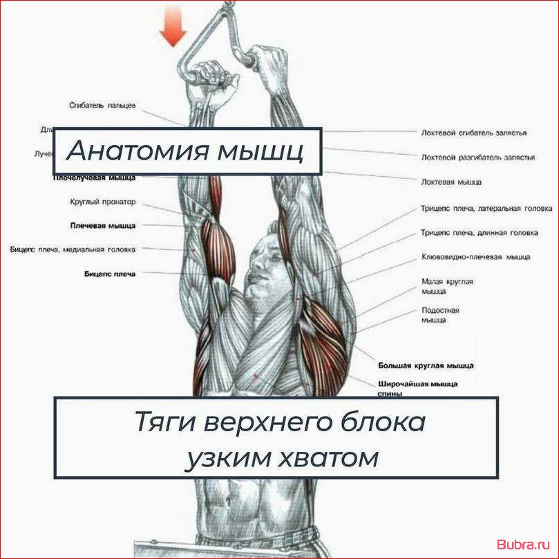 Подтягивания параллельным хватом