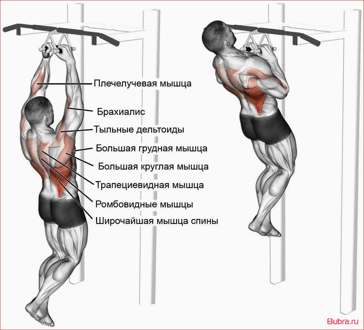 Подтягивания широким хватом