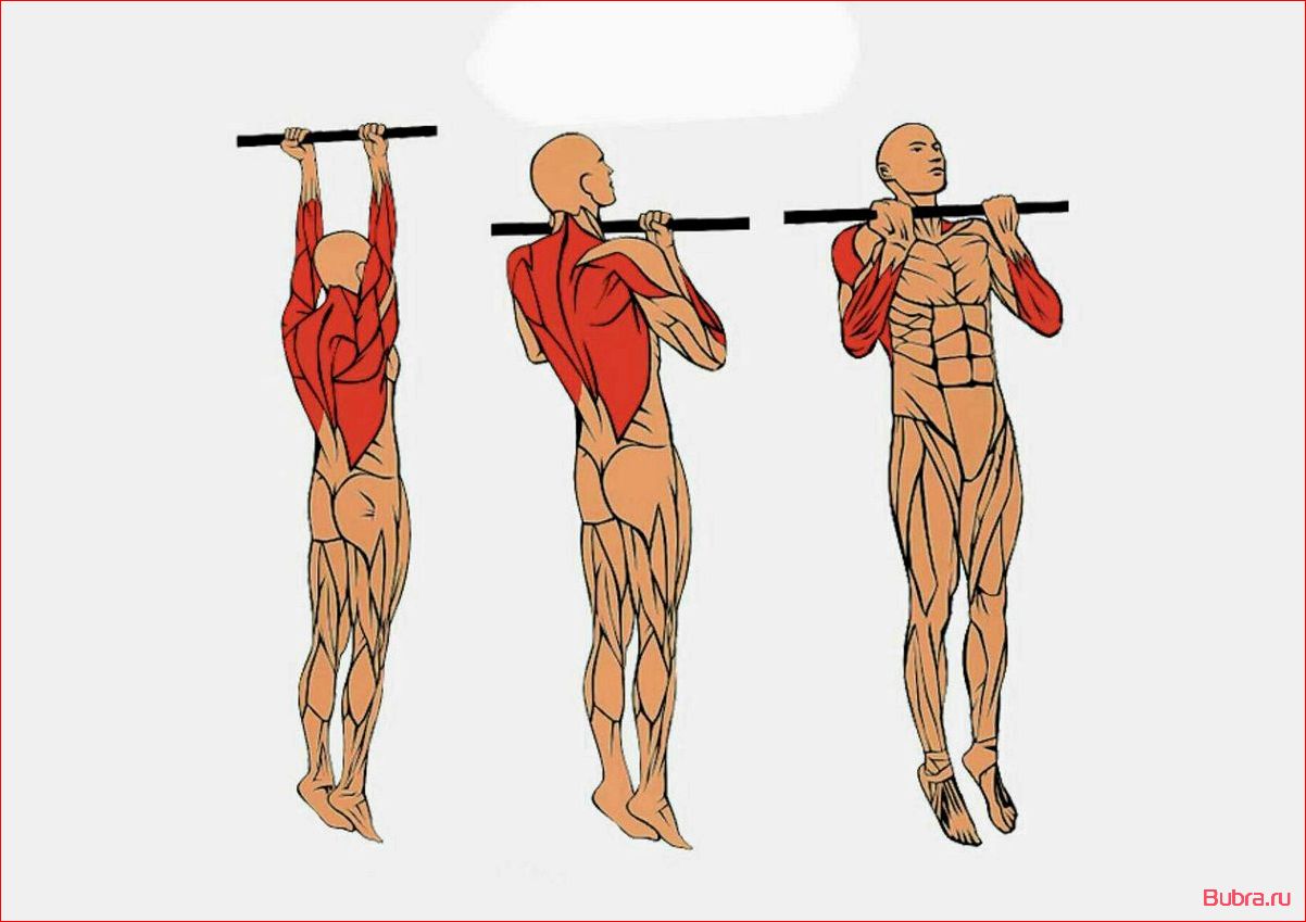Подтягивания узким хватом: техника выполнения, преимущества и рекомендации