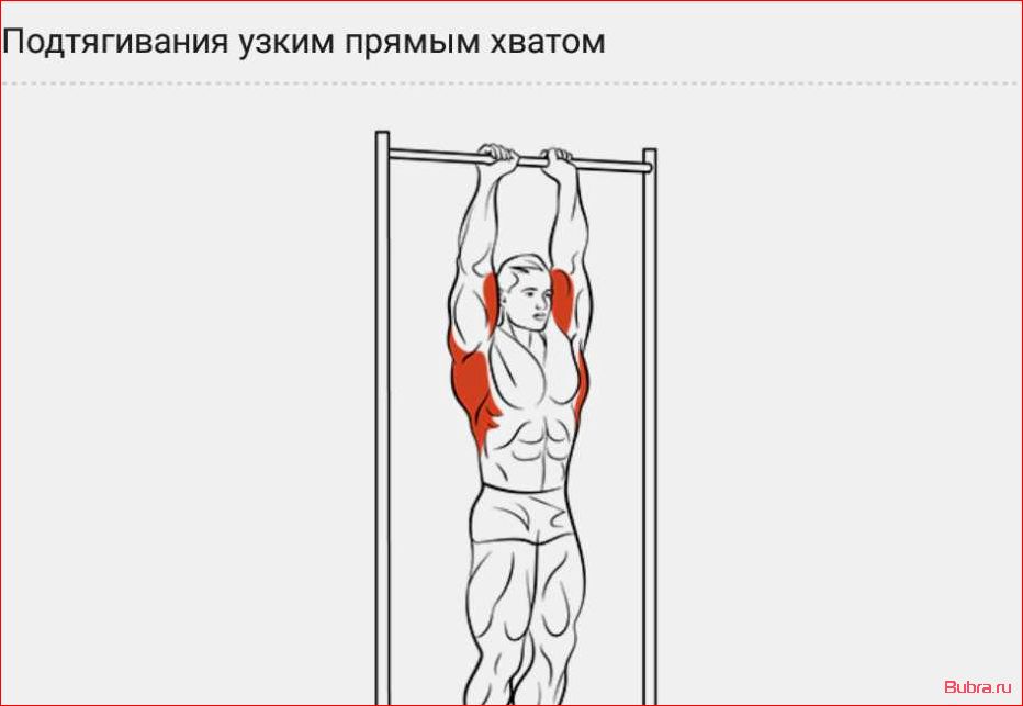 Подтягивания узким хватом: техника выполнения, преимущества и рекомендации