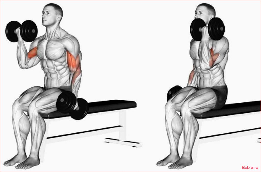 Поочередные подъемы на бицепс на наклонной скамье