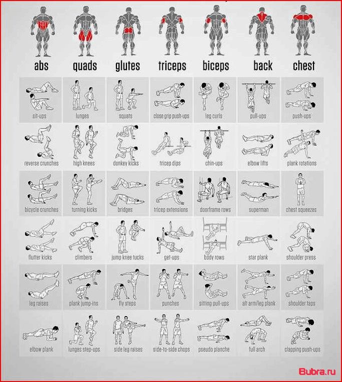 Программа тренировок в домашних условиях: эффективные упражнения для фитнеса дома