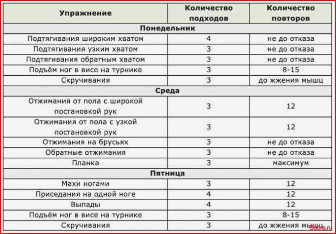 Программа тренировок в домашних условиях: эффективные упражнения для фитнеса дома