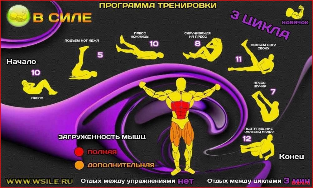 Программа тренировок в домашних условиях: эффективные упражнения для фитнеса дома