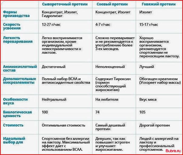 Протеин и белок — в чем разница