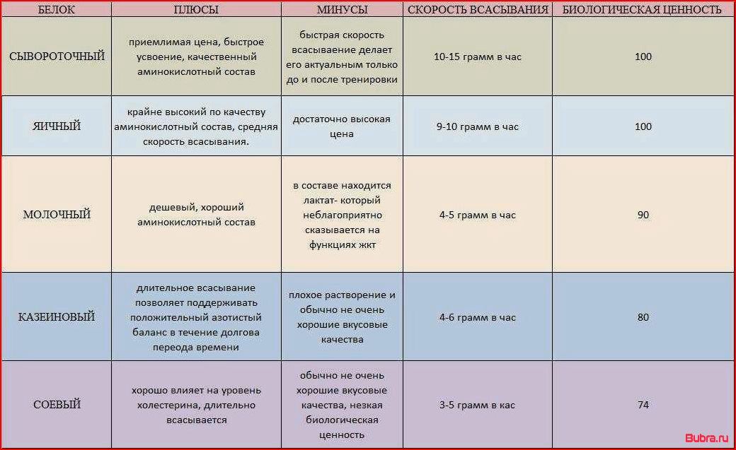 Протеин и белок — в чем разница