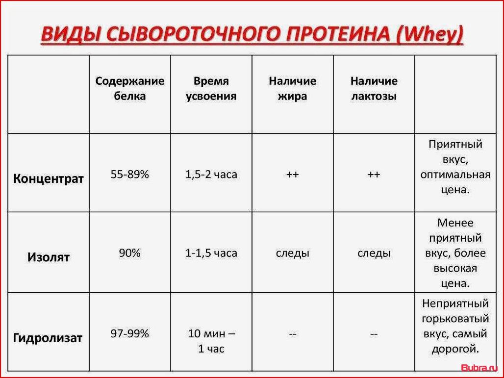 Протеин и белок — в чем разница