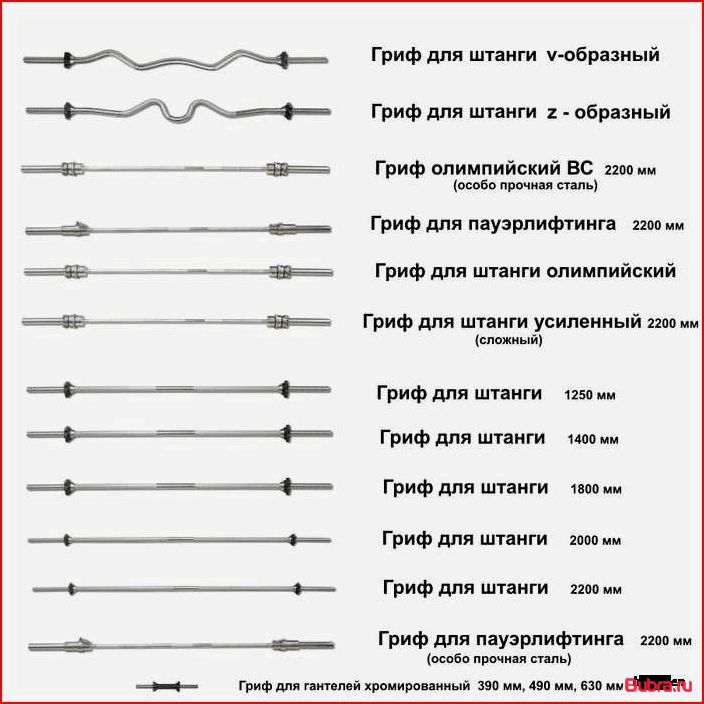 Сколько весит гриф от штанги: обзор основных разновидностей