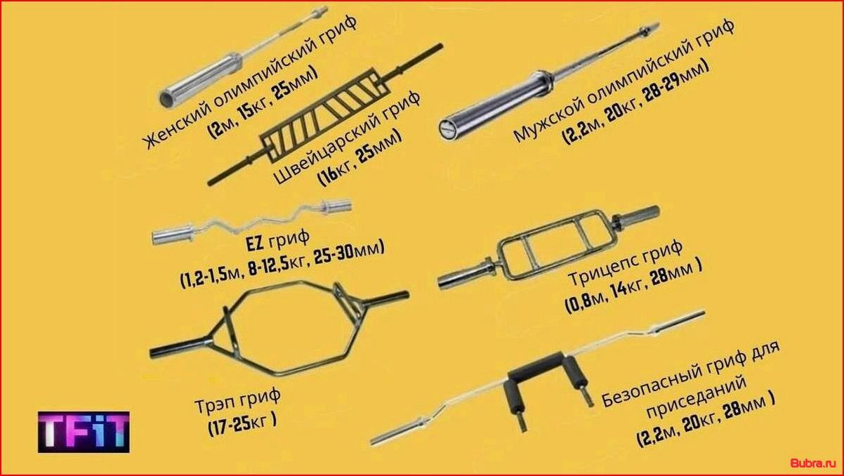 Сколько весит гриф от штанги: обзор основных разновидностей