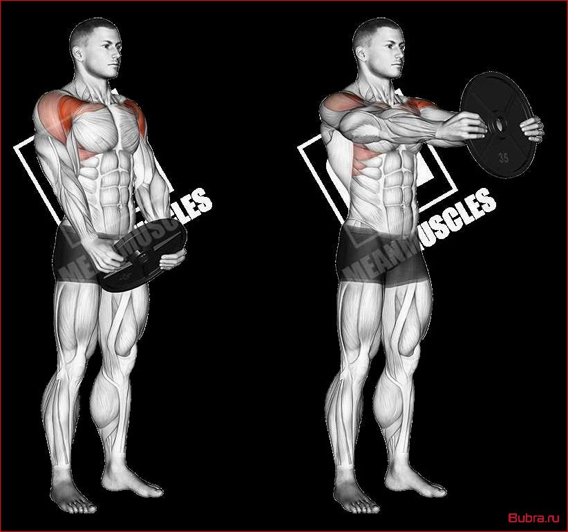 Подъем гантелей перед собой: техника выполнения и польза