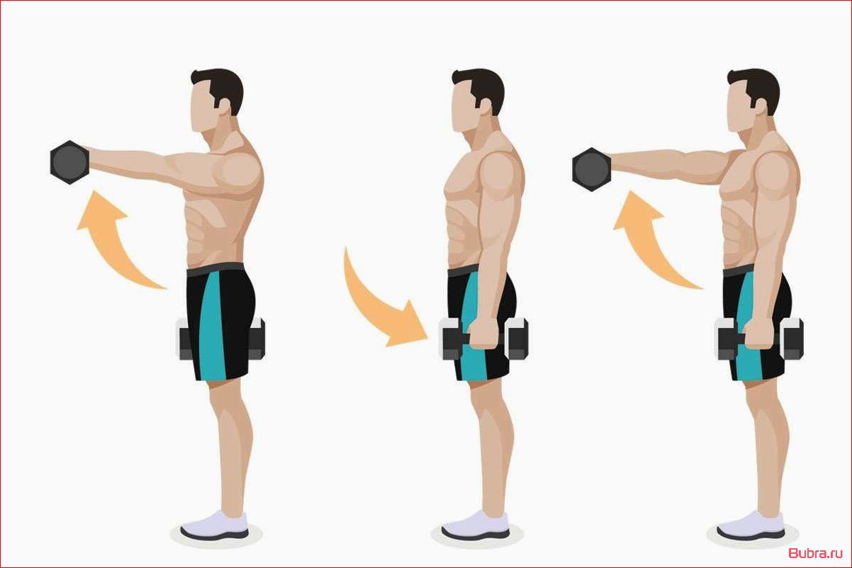 Подъем гантелей перед собой: техника выполнения и польза
