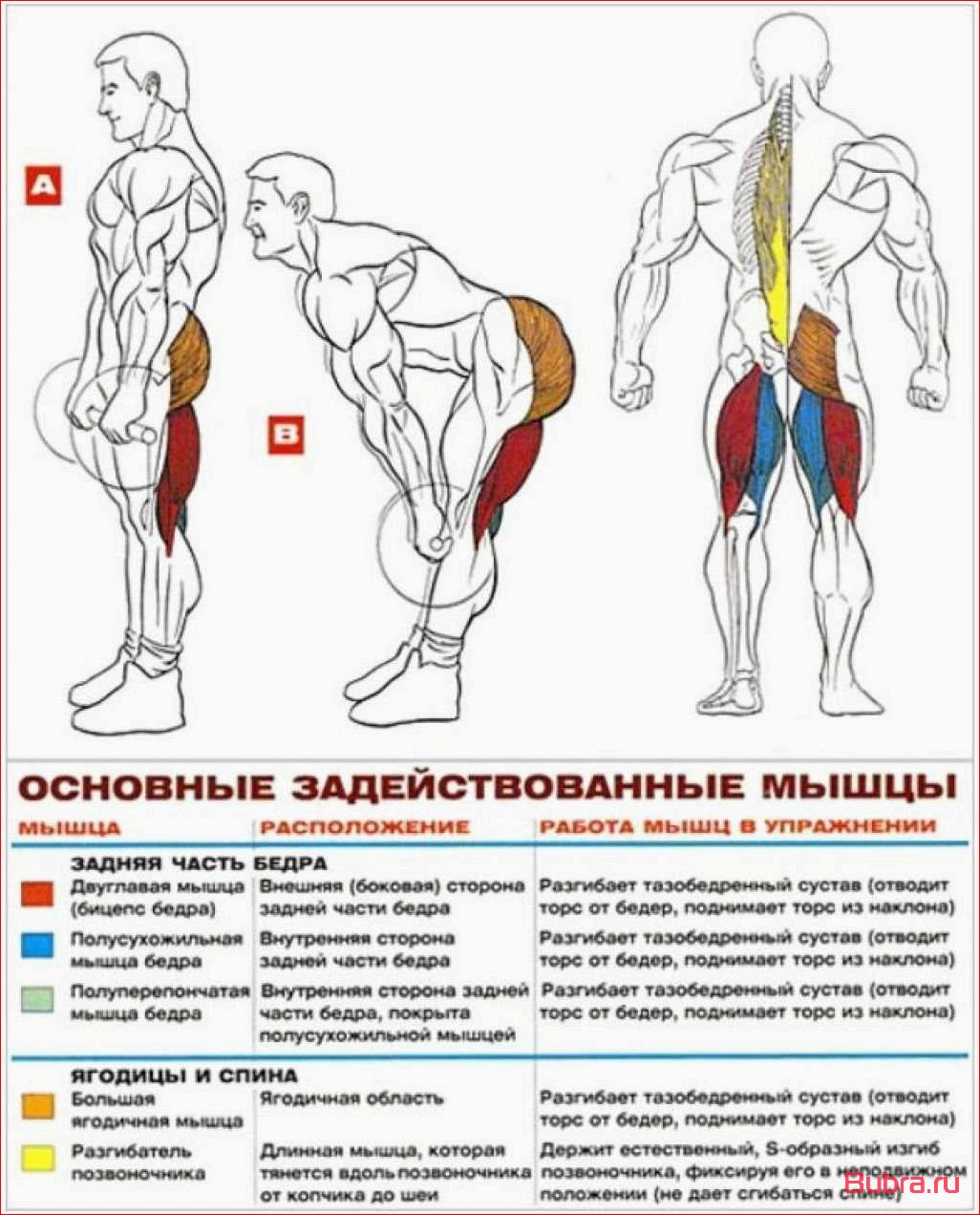 Румынская тяга со штангой: техника выполнения и преимущества