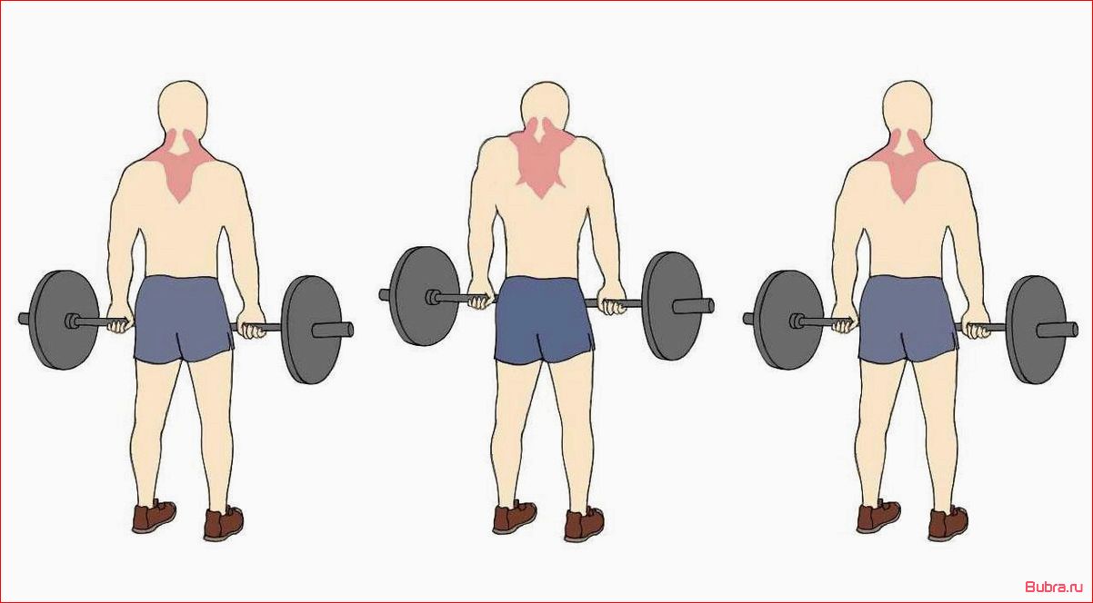Шраги со штангой — эффективный способ развития мышц плечевого пояса