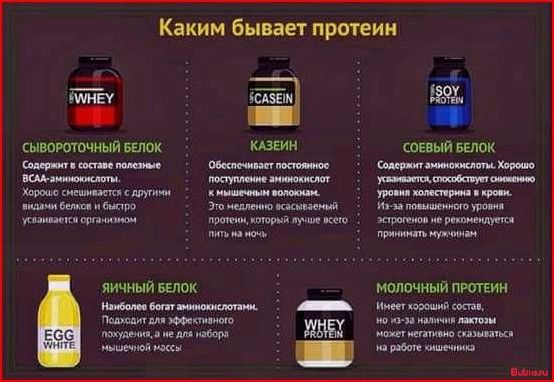 Чем заменить протеин: есть ли равноценная альтернатива спортивной добавке?