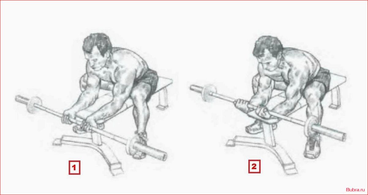 Разгибание запястий со штангой над коленями