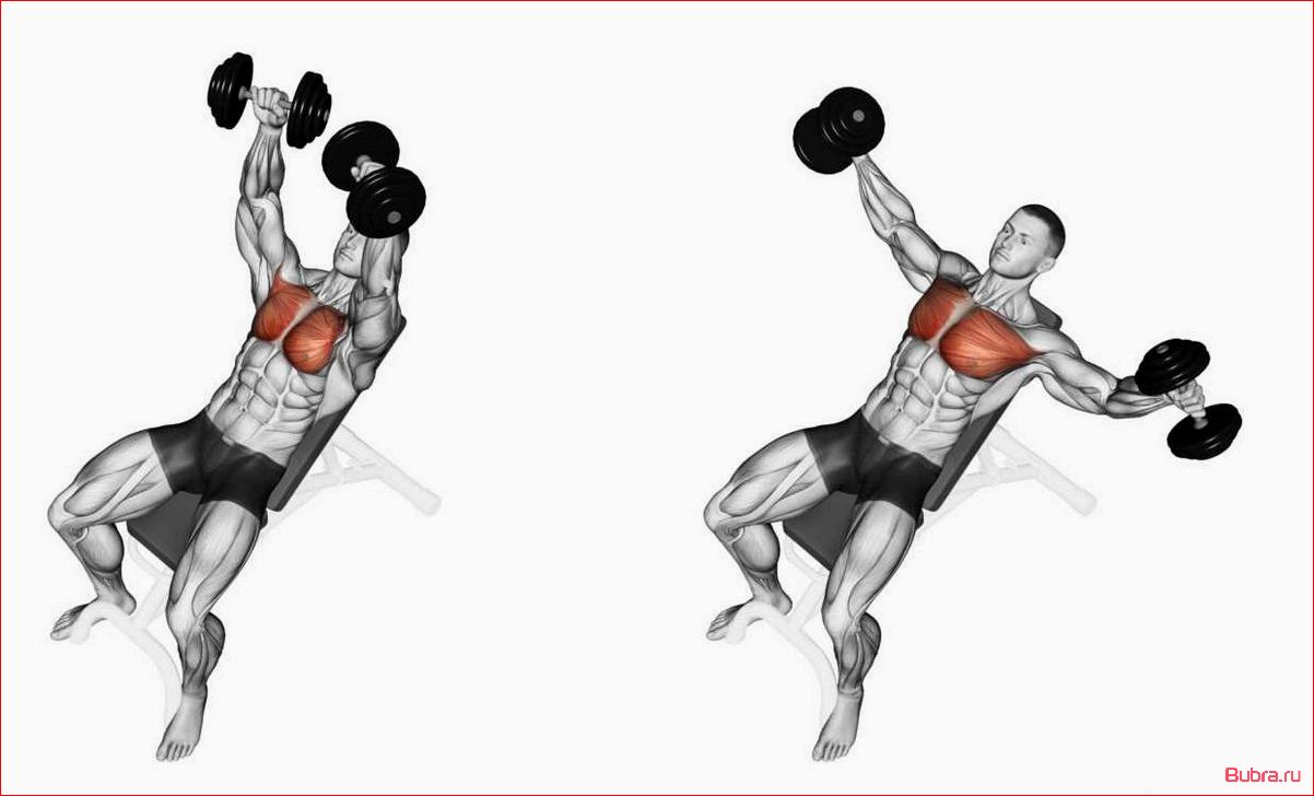 Разводка гантелей на скамье с отрицательным наклоном
