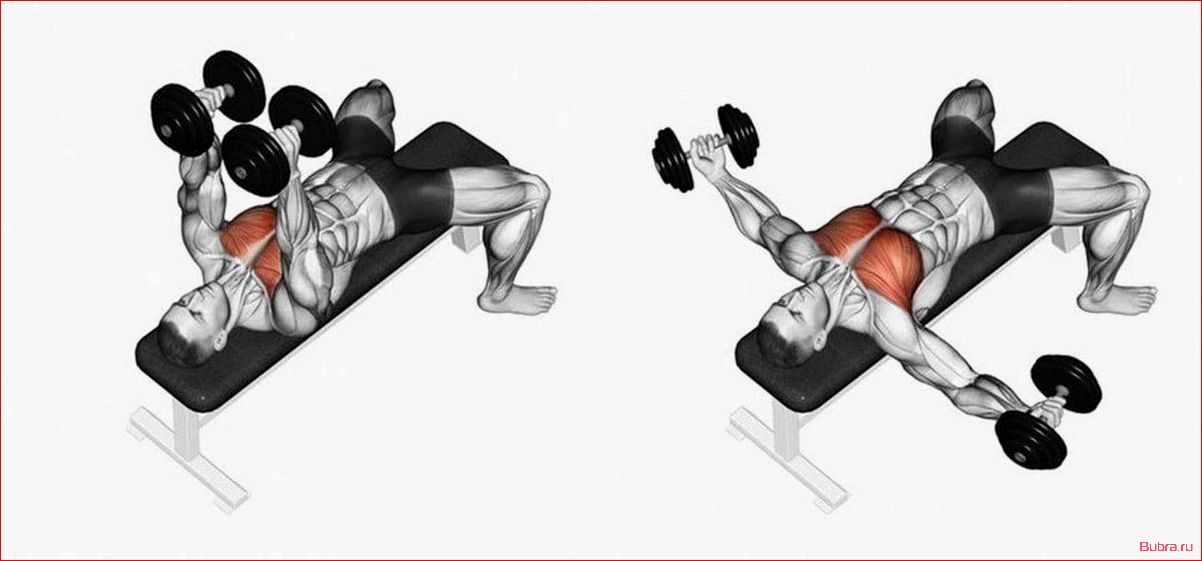 Разводка гантелей на скамье с отрицательным наклоном