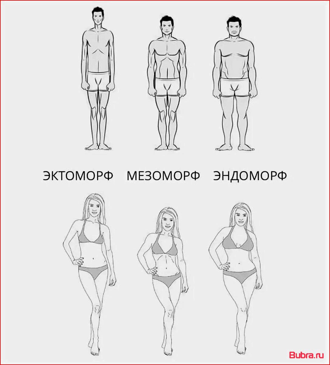 Типы телосложения мужчин и женщин: эффективная стратегия тренировок и питания