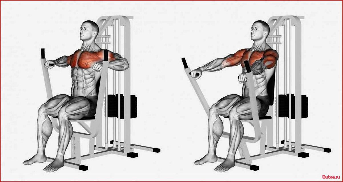 Тренажеры для груди: виды и эффективность применения