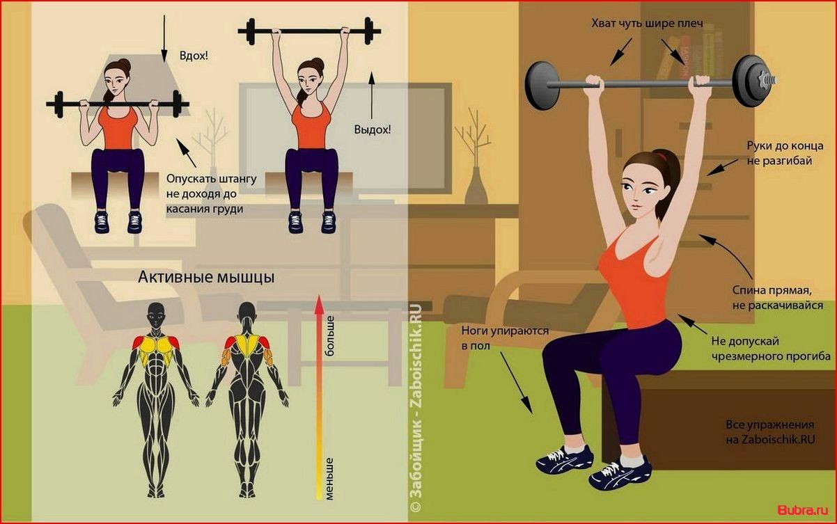 Тренировка плеч для женщин: эффективные упражнения и программа тренировок для красивых и сильных плеч.
