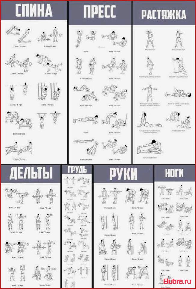 Тренировка плеч для женщин: эффективные упражнения и программа тренировок для красивых и сильных плеч.