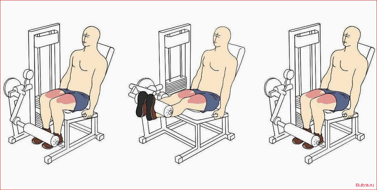 Разгибание одной ноги в тренажере