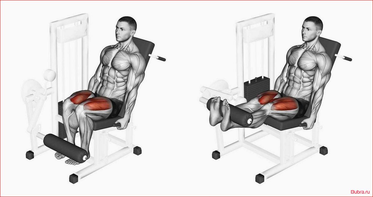 Разгибание одной ноги в тренажере