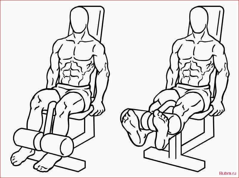 Разгибание одной ноги в тренажере