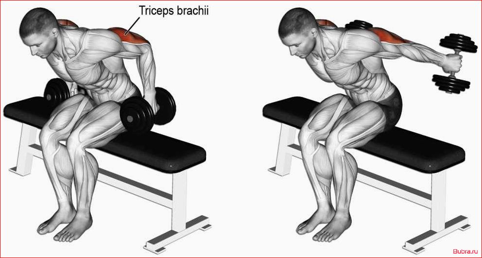 Разгибание рук с гантелями сидя в наклоне
