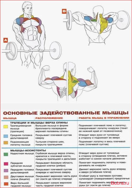 Тяга штанги к подбородку: основные принципы и техника выполнения