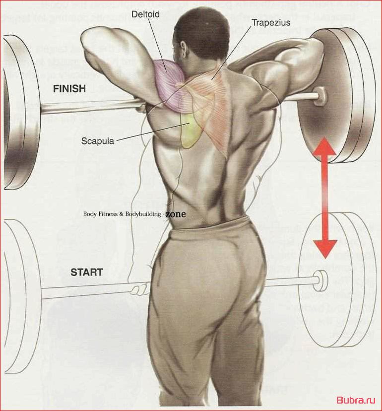Тяга штанги к подбородку: основные принципы и техника выполнения
