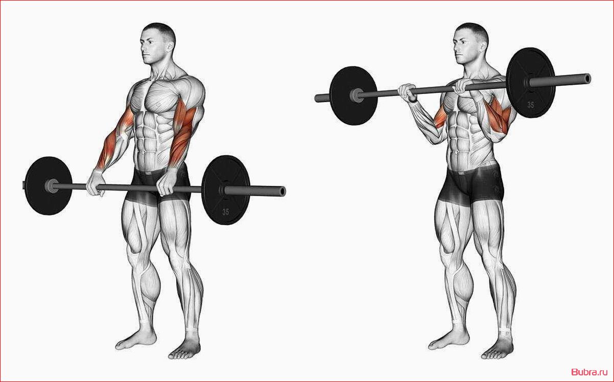 Сгибания запястий со штангой за спиной