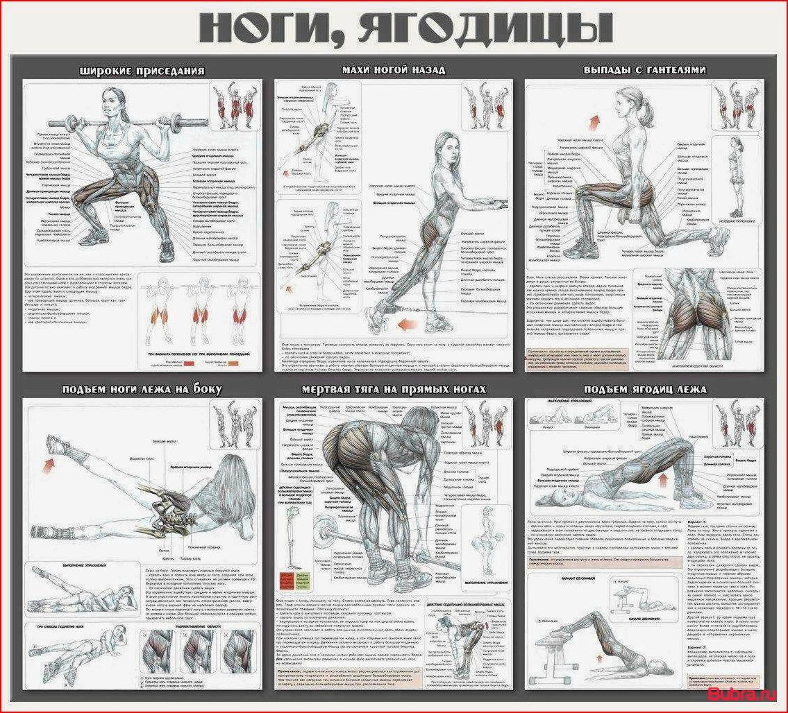 Упражнения для ног: строим эффективную программу тренировок девушек