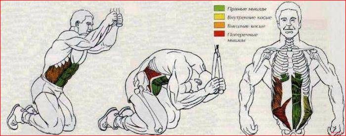 Скручивания на верхнем блоке стоя