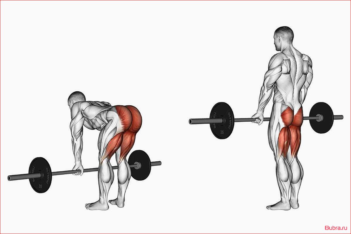 Становая тяга с гантелями: техника выполнения и польза для тренировки спины и ног
