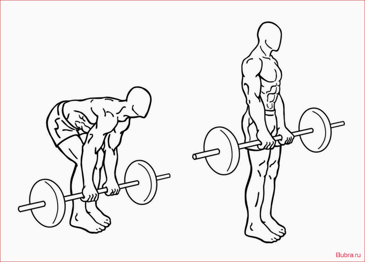 Становая тяга со штангой: правильная техника выполнения и польза для тренировки спины