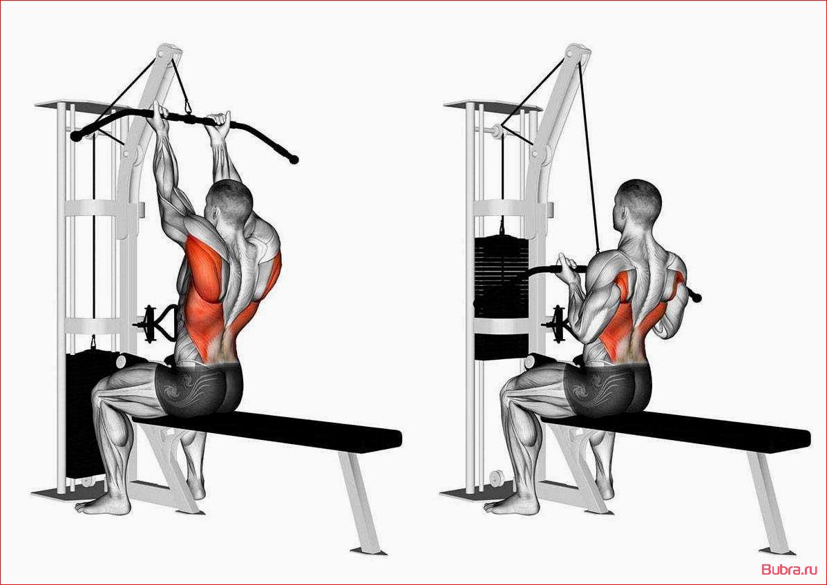 Тяга сверху в тренажере Хаммер: техника выполнения и преимущества