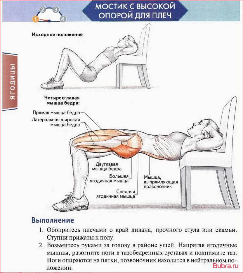 (упражнение, ягодичный, мостик, штангой)