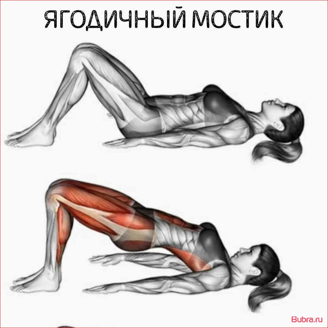 (упражнение, ягодичный, мостик) Ягодичный мостик